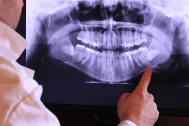 Best Emergency X-Rays and Diagnostics in Big Lake, TX